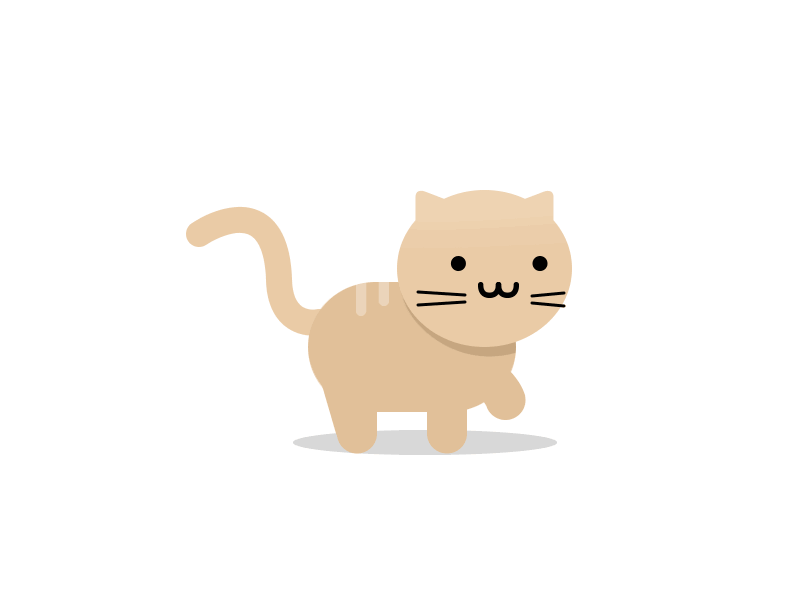 小猫美照